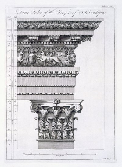 Exterior Order of the Temple of Aesculapius (plate XLVII from 